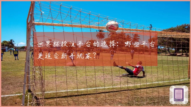 世界杯投注平台的选择:哪些平台更适合新手玩家?