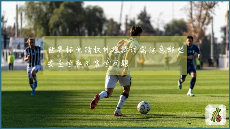 世界杯竞猜软件选择时需注意哪些安全性和可靠性问题