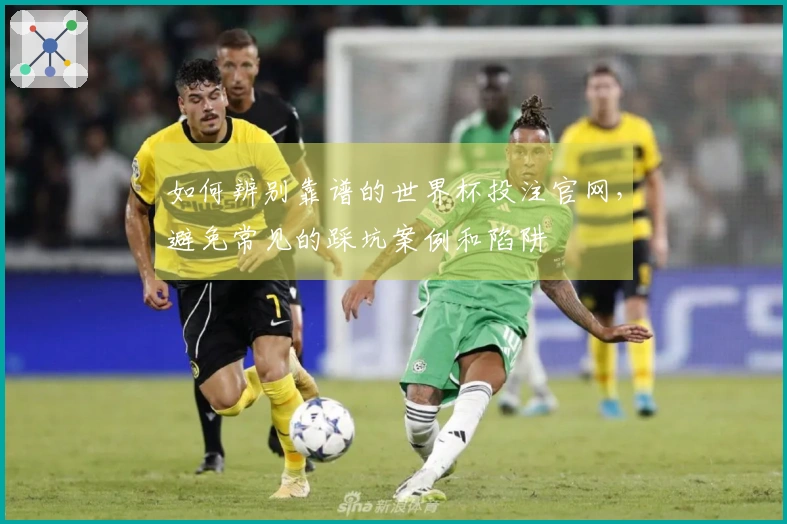 如何辨别靠谱的世界杯投注官网，避免常见的踩坑案例和陷阱