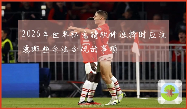 2026年世界杯竞猜软件选择时应注意哪些合法合规的事项