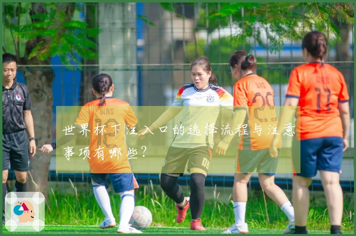 世界杯下注入口的选择流程与注意事项有哪些？