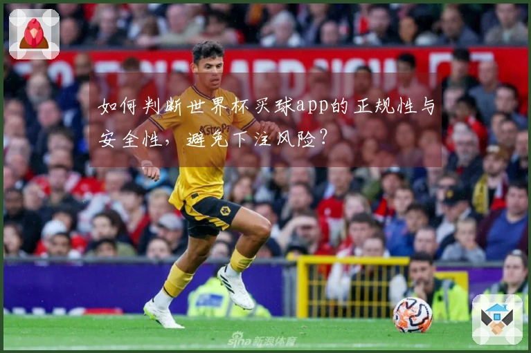如何判断世界杯买球app的正规性与安全性，避免下注风险？