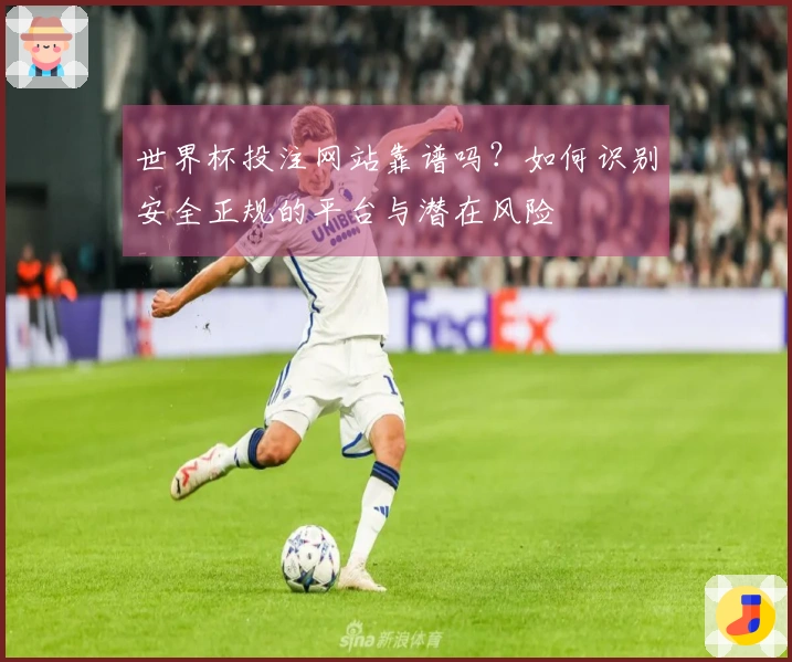 世界杯投注网站靠谱吗?如何识别安全正规的平台与潜在风险