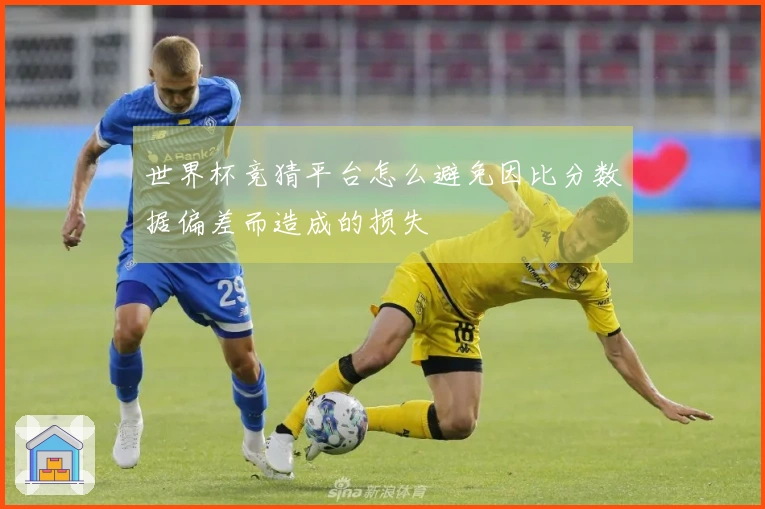 世界杯竞猜平台怎么避免因比分数据偏差而造成的损失