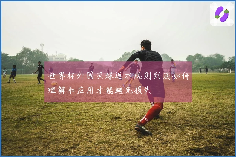 世界杯外围买球返水规则到底如何理解和应用才能避免损失