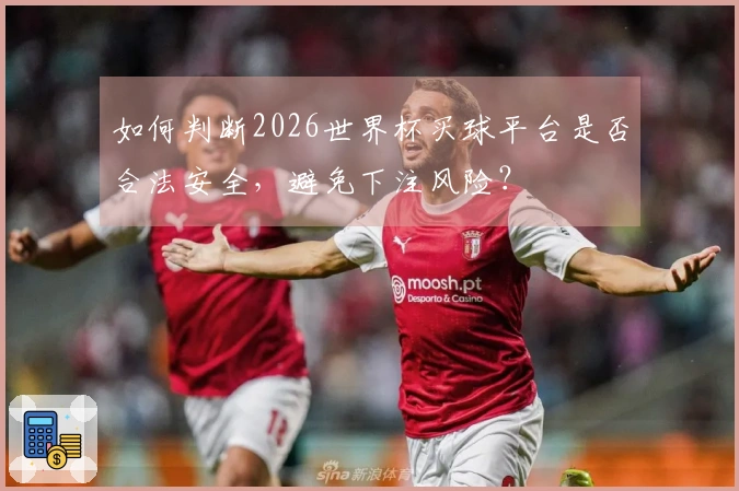 如何判断2026世界杯买球平台是否合法安全，避免下注风险？