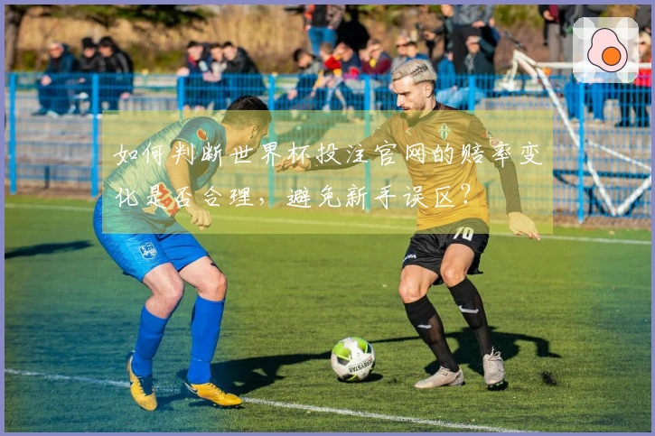 如何判断世界杯投注官网的赔率变化是否合理，避免新手误区？