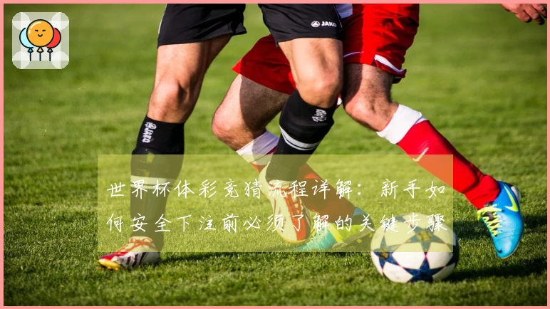 世界杯体彩竞猜流程详解：新手如何安全下注前必须了解的关键步骤