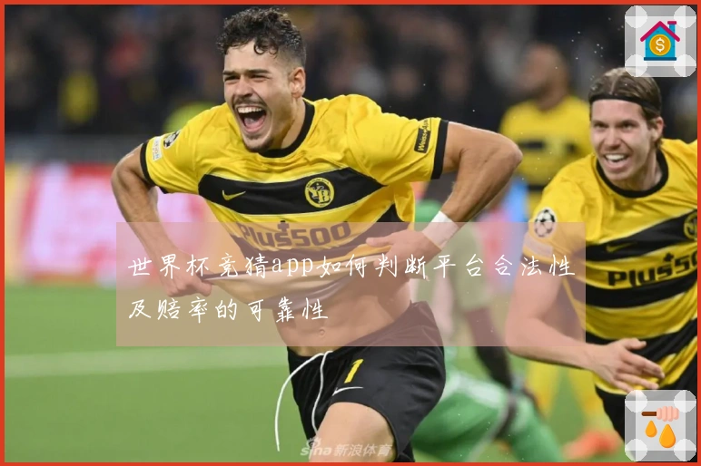 世界杯竞猜app如何判断平台合法性及赔率的可靠性