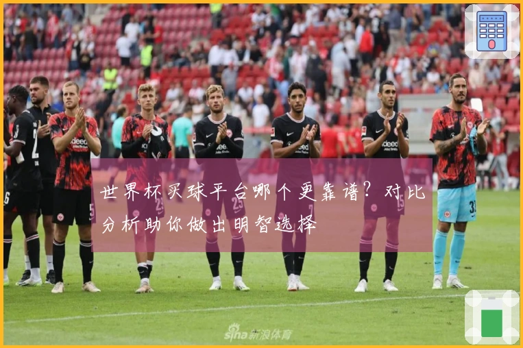 世界杯买球平台哪个更靠谱？对比分析助你做出明智选择