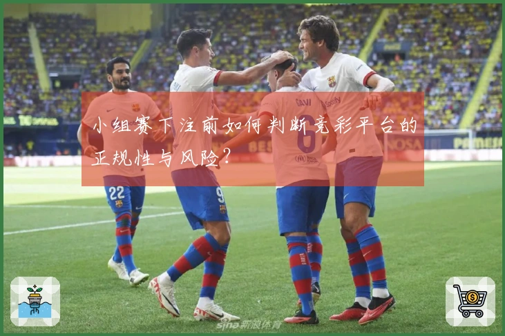 小组赛下注前如何判断竞彩平台的正规性与风险？