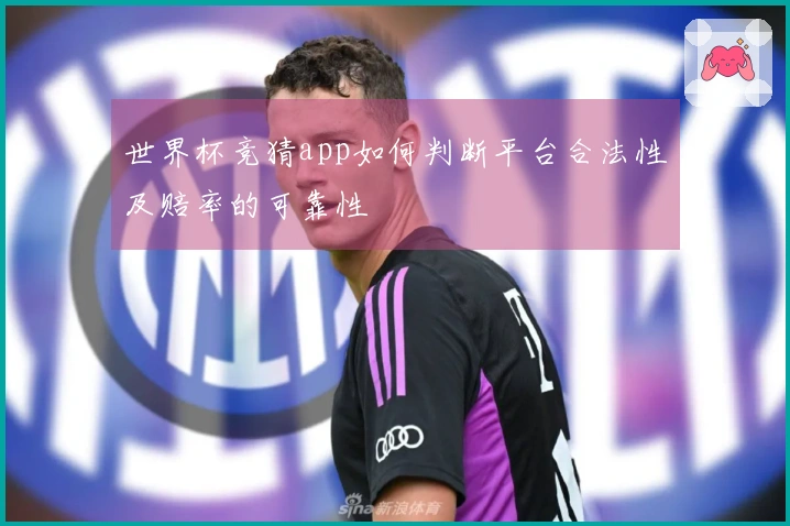 世界杯竞猜app如何判断平台合法性及赔率的可靠性