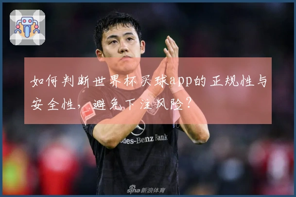 如何判断世界杯买球app的正规性与安全性，避免下注风险？