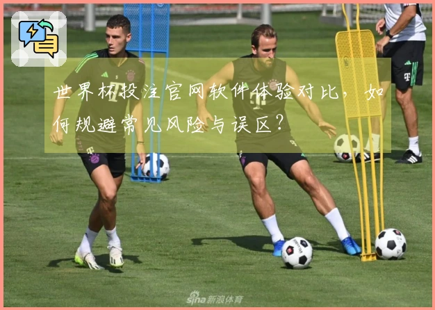 世界杯投注官网软件体验对比，如何规避常见风险与误区？