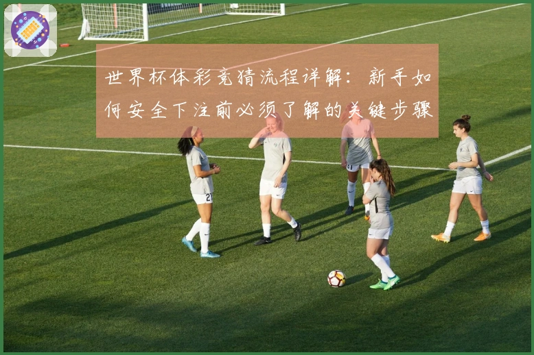 世界杯体彩竞猜流程详解：新手如何安全下注前必须了解的关键步骤