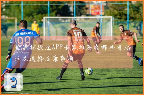 世界杯投注APP专家推荐有哪些可比性及选择注意事项
